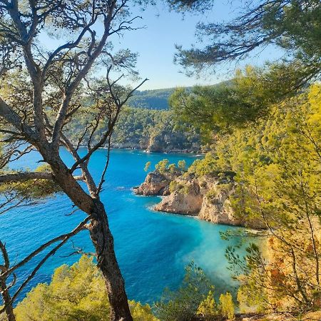 T3 Saint Cyr Sur Mer 83270 エクステリア 写真