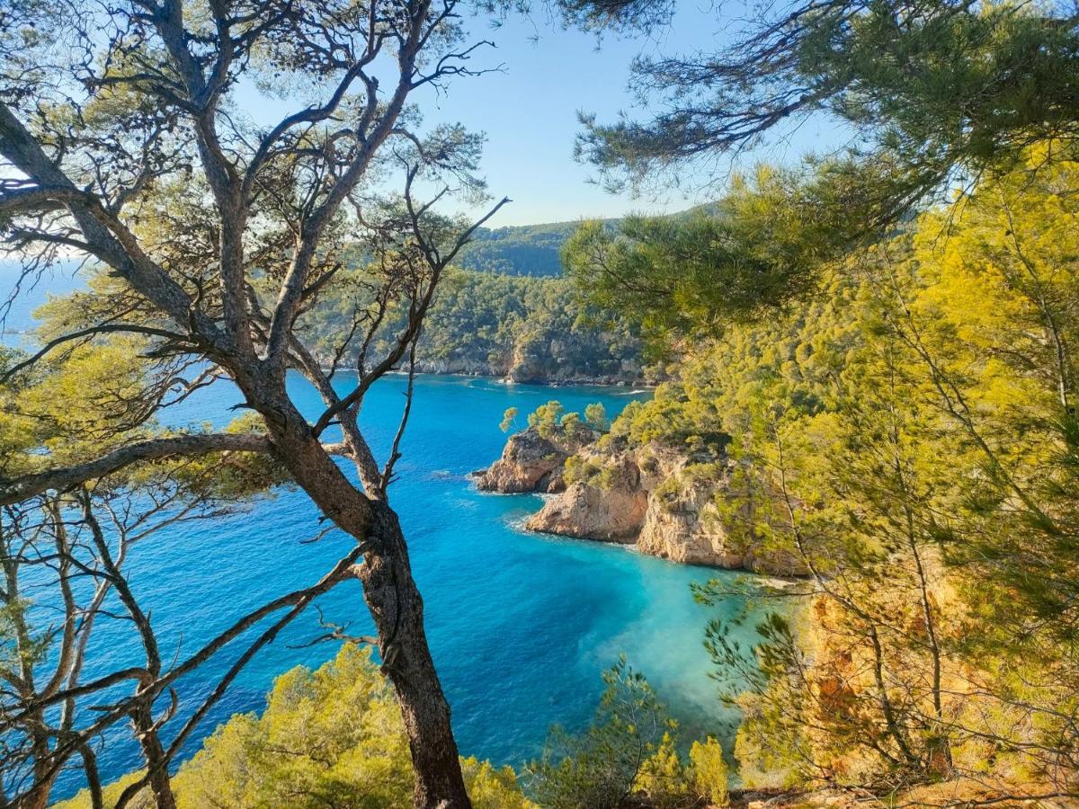 T3 Saint Cyr Sur Mer 83270 エクステリア 写真
